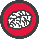Service : Formation Logo